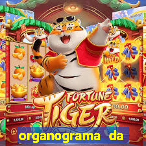 organograma da cacau show